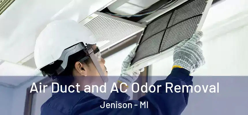  Air Duct and AC Odor Removal Jenison - MI