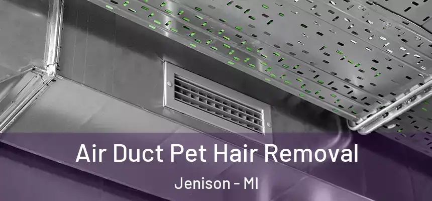  Air Duct Pet Hair Removal Jenison - MI
