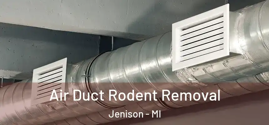  Air Duct Rodent Removal Jenison - MI