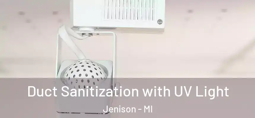  Duct Sanitization with UV Light Jenison - MI