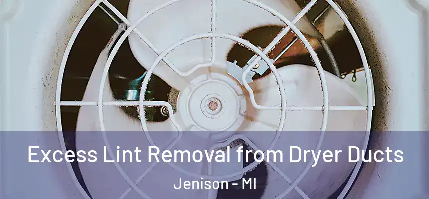  Excess Lint Removal from Dryer Ducts Jenison - MI