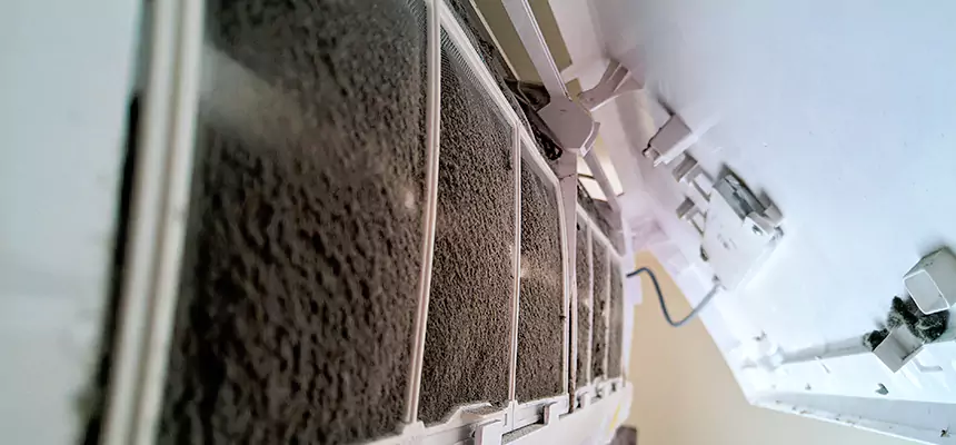 Preventive Air Duct Bacteria Removal in Jenison