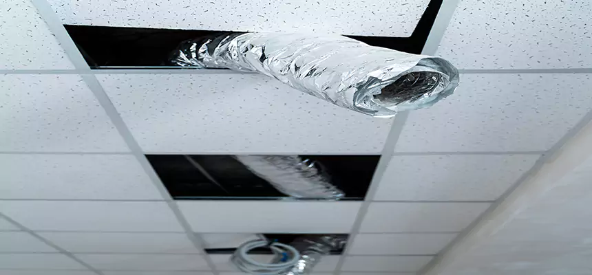 Affordable HVAC Sanitizing After Pest Removal in Jenison