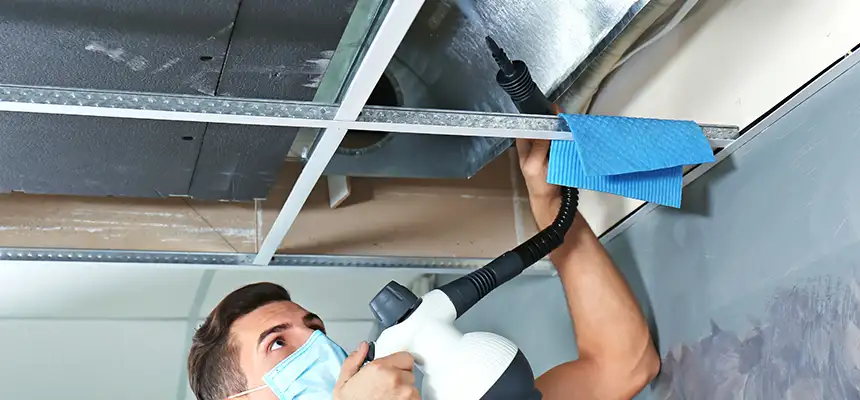 Our Air Duct Rodent Removal Services in Jenison, MI