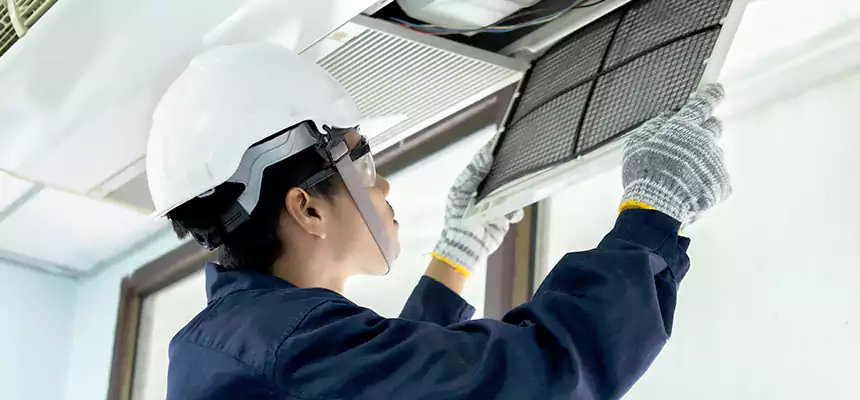 Our Mold & Mildew Removal from Air Ducts Services in Jenison, MI