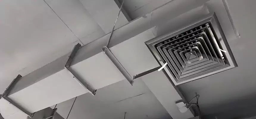 Our Pest Removal From Ducts Services in Jenison, MI