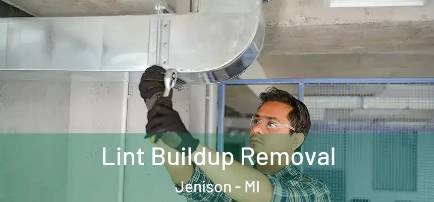  Lint Buildup Removal Jenison - MI