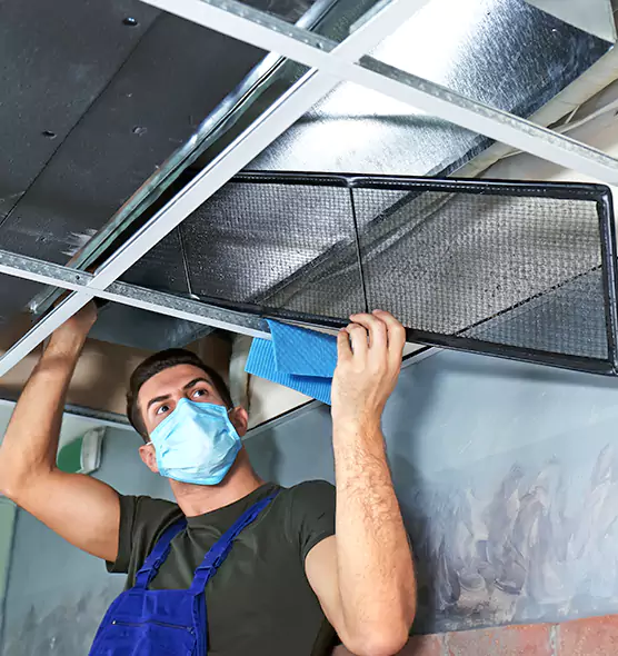 Professional Air Duct Pollen Cleaning in Jenison, MI