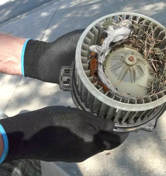 About Air Duct Rat Removal in Jenison, MI