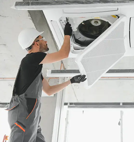 About Air Duct Rodent Removal in Jenison, MI