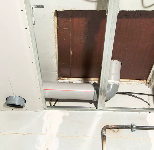 Why Homeowners & Businesses Trust Us in Jenison, MI?