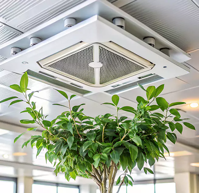 Why Homeowners & Businesses Trust Us in Jenison, MI?