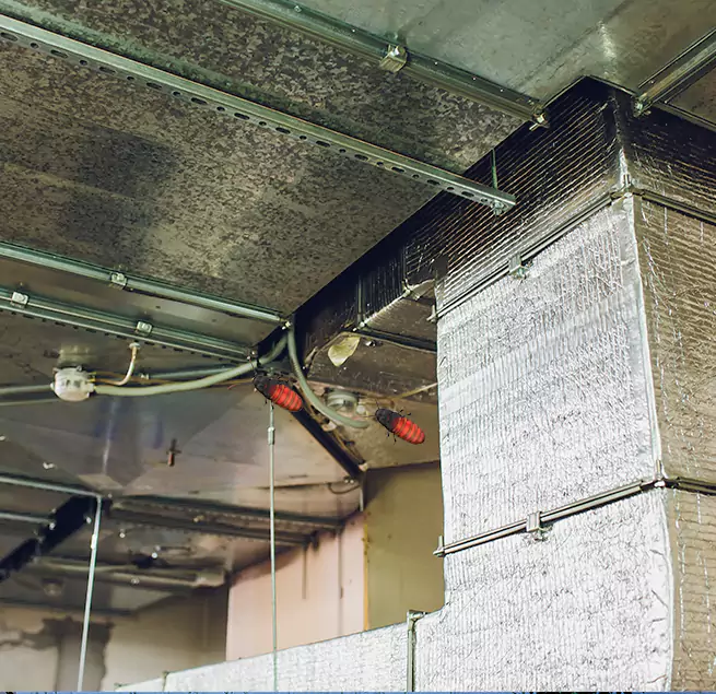 Why Homeowners & Businesses Trust Us Jenison, MI?