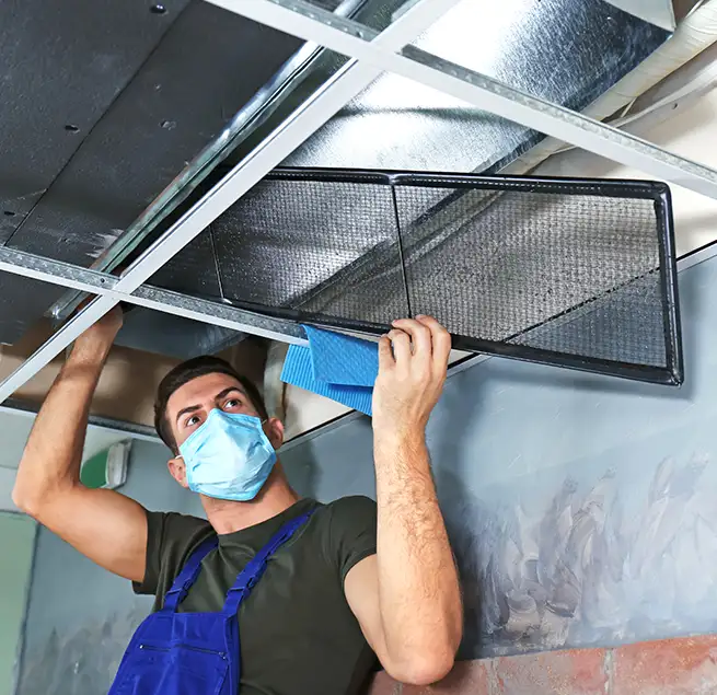 Why Homeowners & Businesses Trust Us in Jenison, MI?