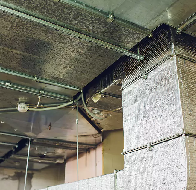 Why Homeowners & Businesses Trust Us in Jenison, MI?