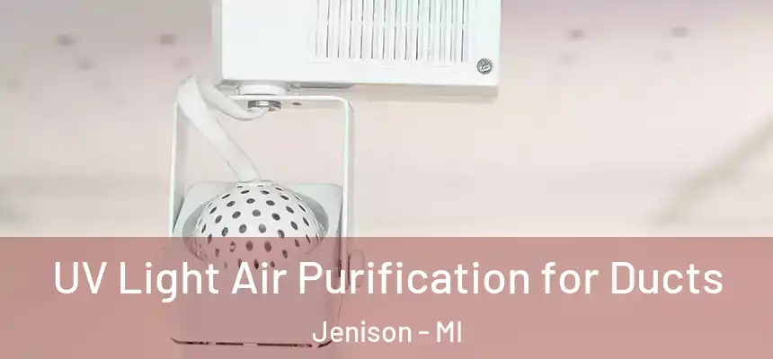  UV Light Air Purification for Ducts Jenison - MI